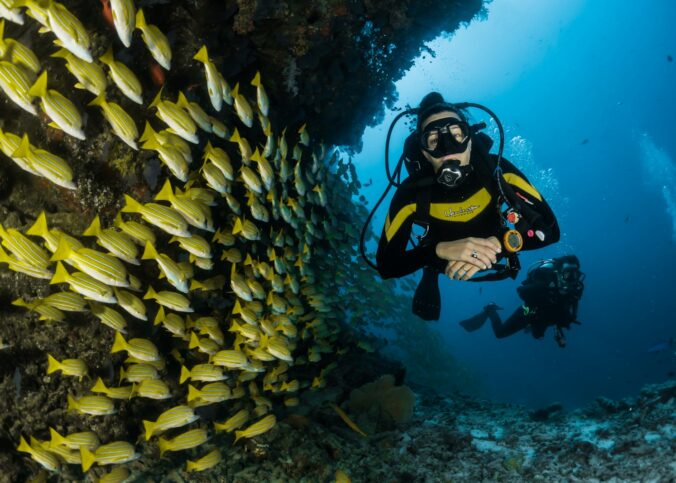 spots de plongée sous-marine dans le monde