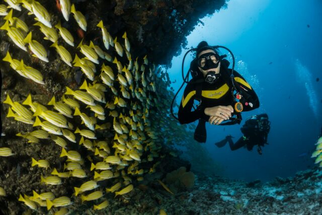 spots de plongée sous-marine dans le monde